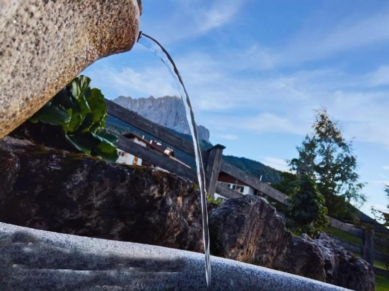 Garni Hotel Iris セルヴァ・ディ・ヴァル・ガルデーナ エクステリア 写真